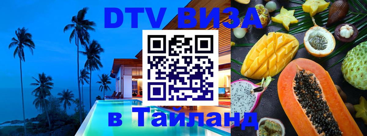 Оформление DTV визы под ключ: стоимость и тарифы, только загранпаспорт - 
